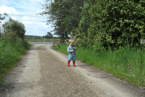 screen-shot-2016-11-06-at-6-25-02-am