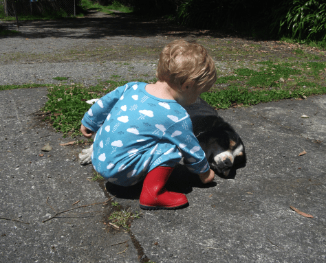 screen-shot-2016-11-06-at-6-25-35-am