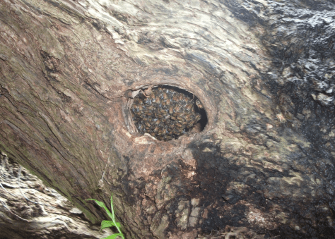 screen-shot-2016-11-14-at-7-02-23-am