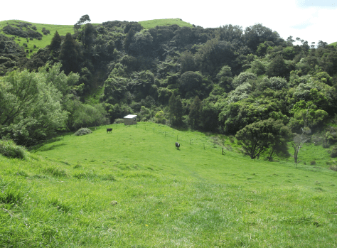 screen-shot-2016-11-15-at-6-39-50-am