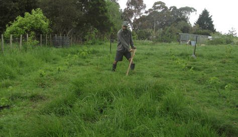 screen-shot-2016-11-15-at-6-40-57-am