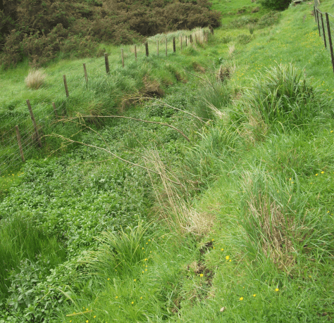 screen-shot-2016-11-15-at-6-42-12-am