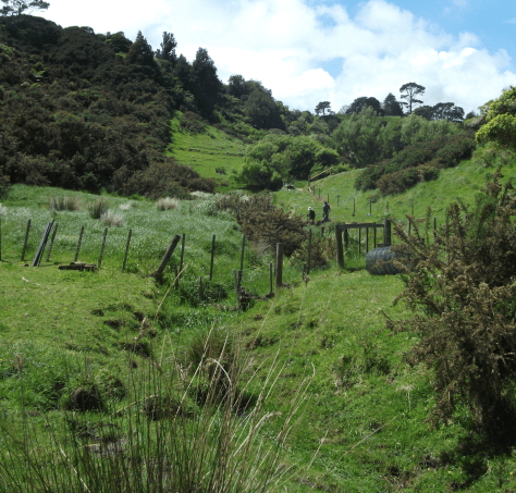 screen-shot-2016-11-15-at-6-46-32-am