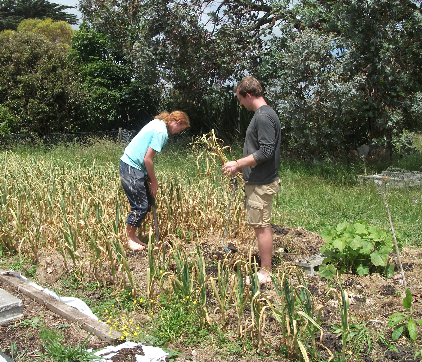 screen-shot-2016-12-17-at-6-57-36-am