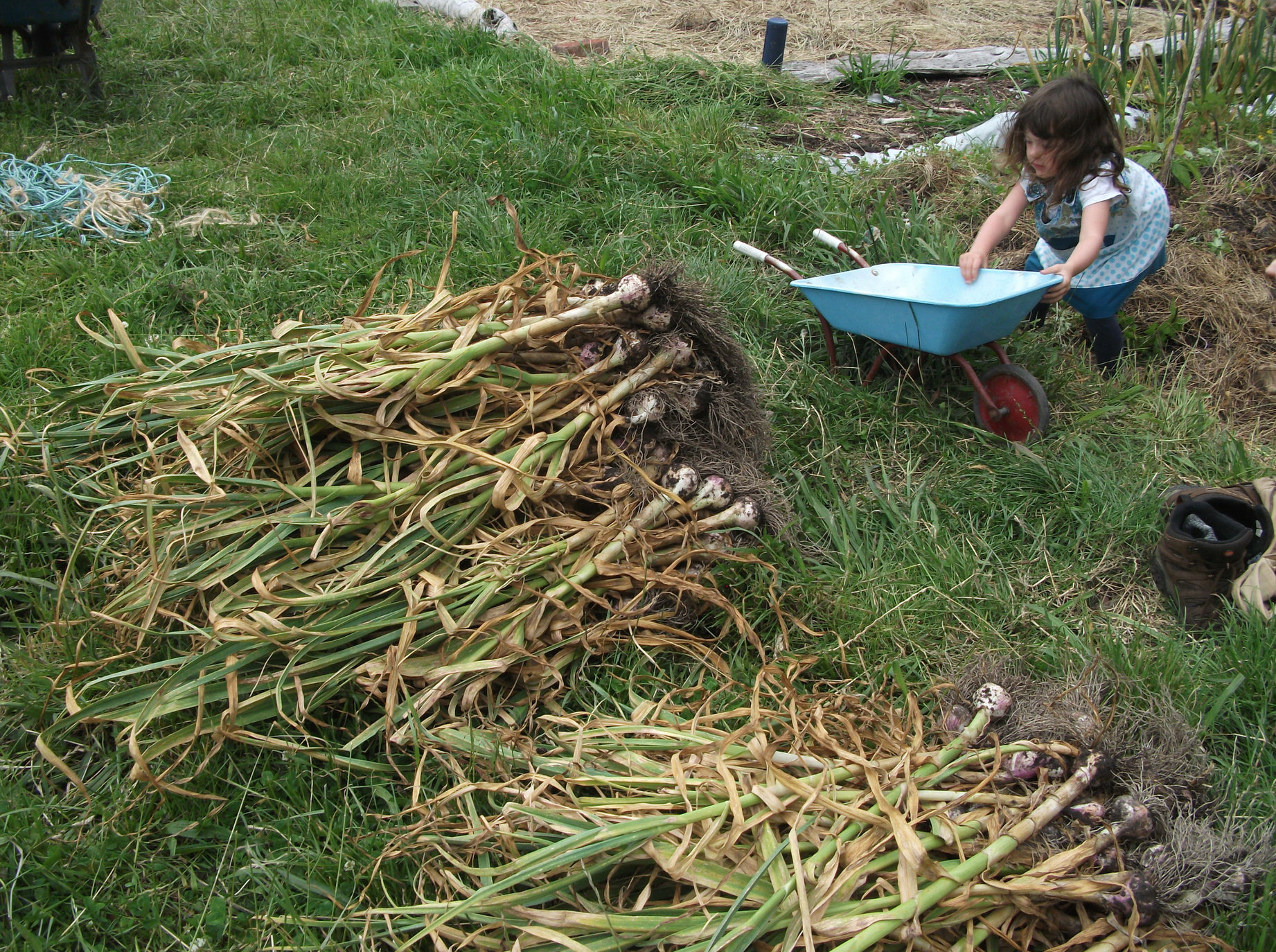 screen-shot-2016-12-17-at-6-57-46-am