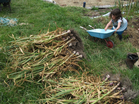 screen-shot-2016-12-17-at-6-57-46-am