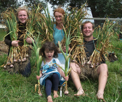 screen-shot-2016-12-17-at-6-58-35-am