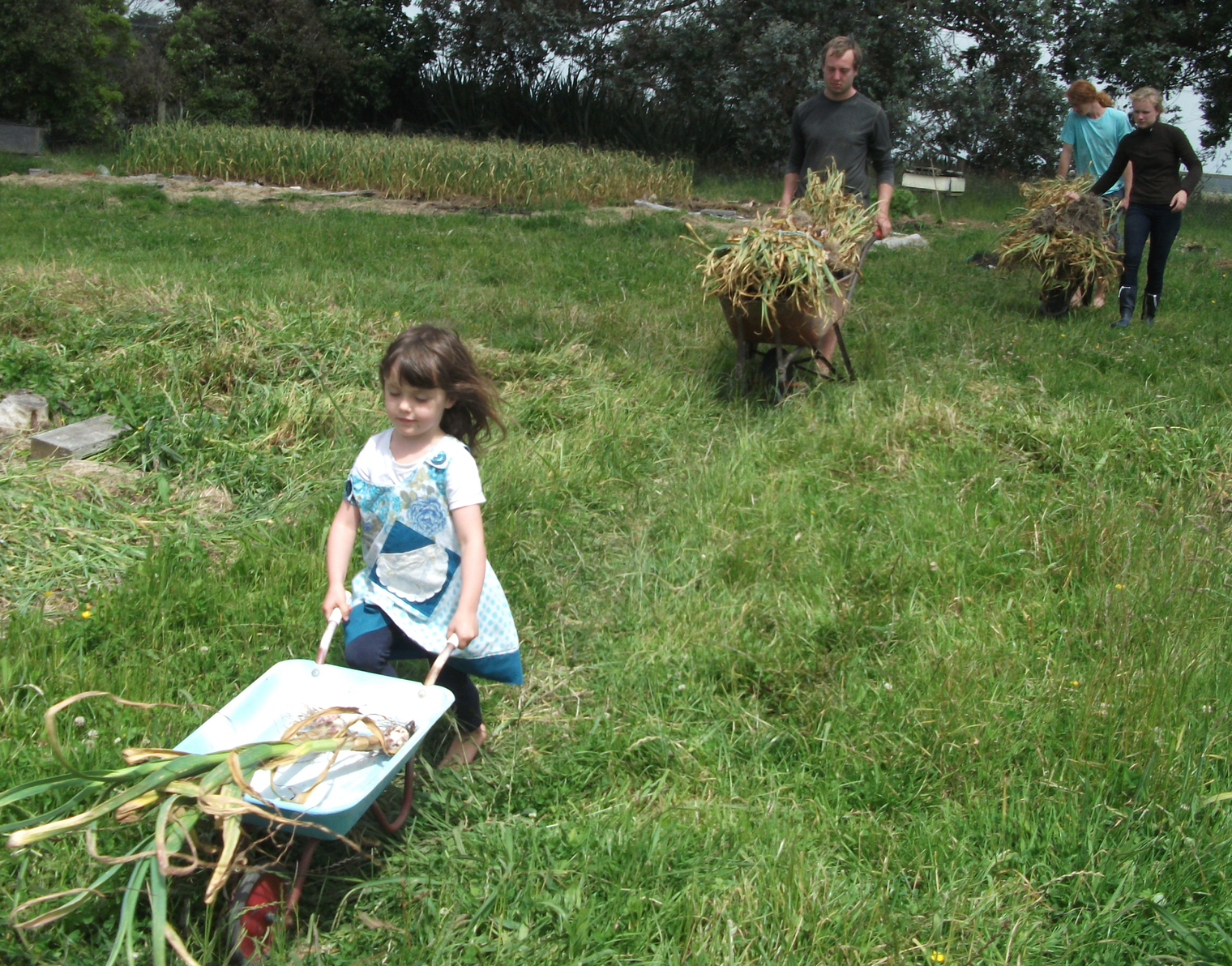 screen-shot-2016-12-17-at-6-58-46-am