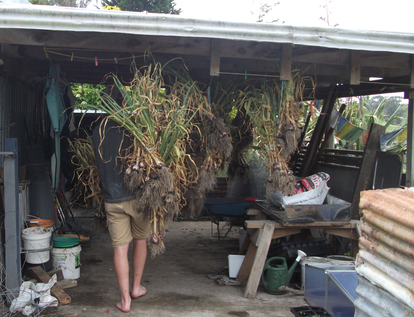 screen-shot-2016-12-17-at-6-59-07-am