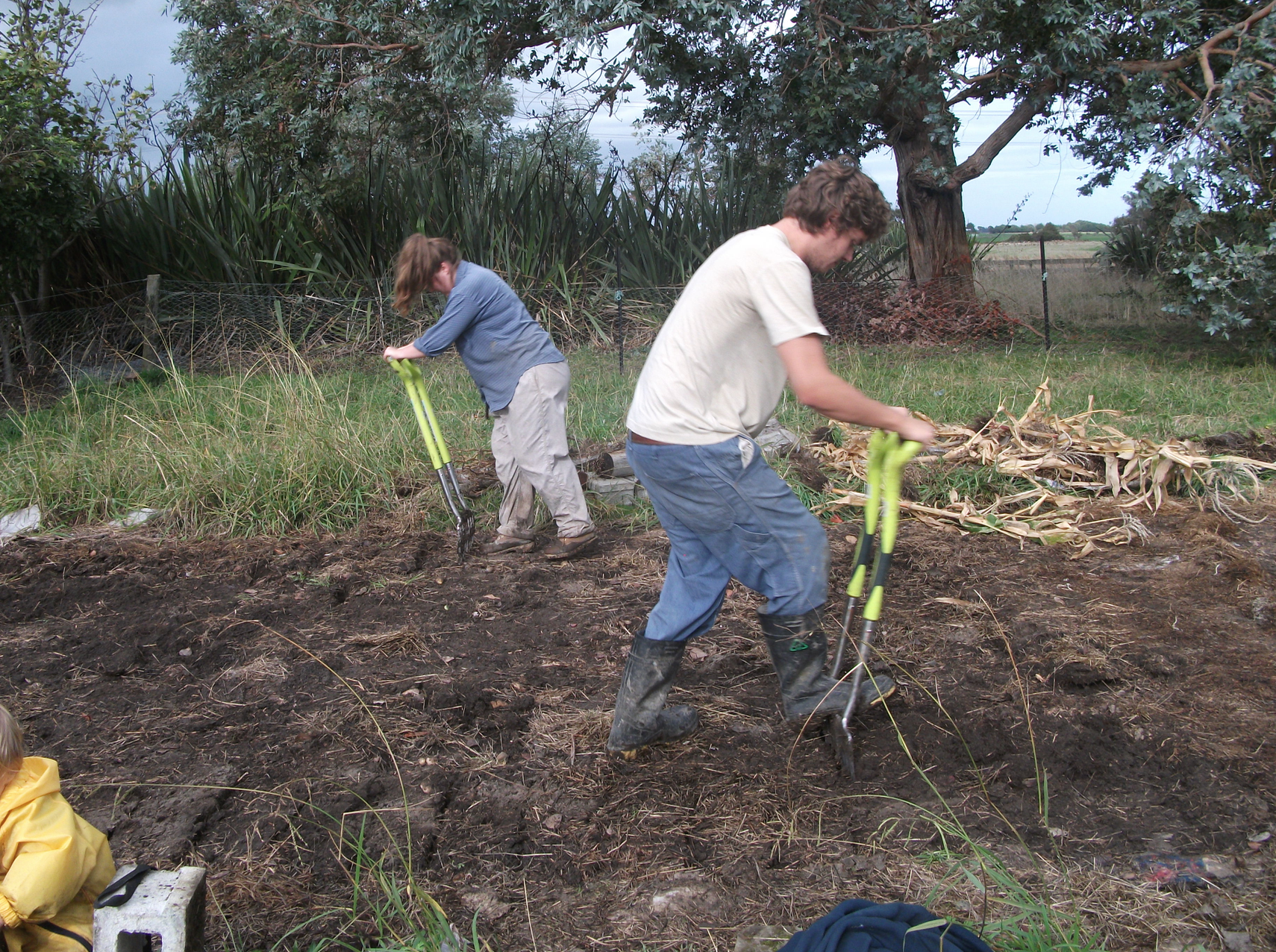 screen-shot-2016-12-17-at-7-01-07-am