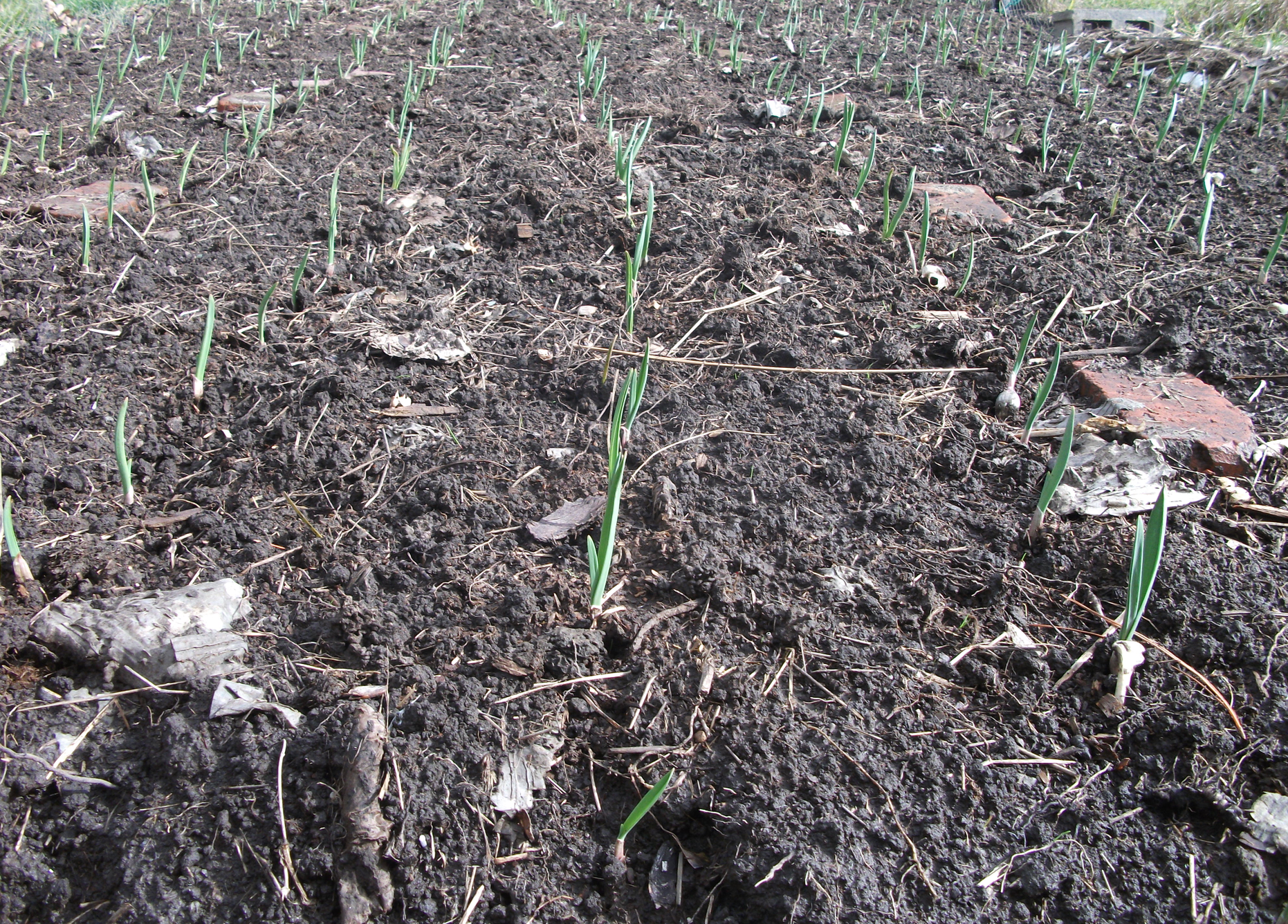 screen-shot-2016-12-17-at-7-01-54-am