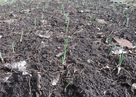 screen-shot-2016-12-17-at-7-01-54-am