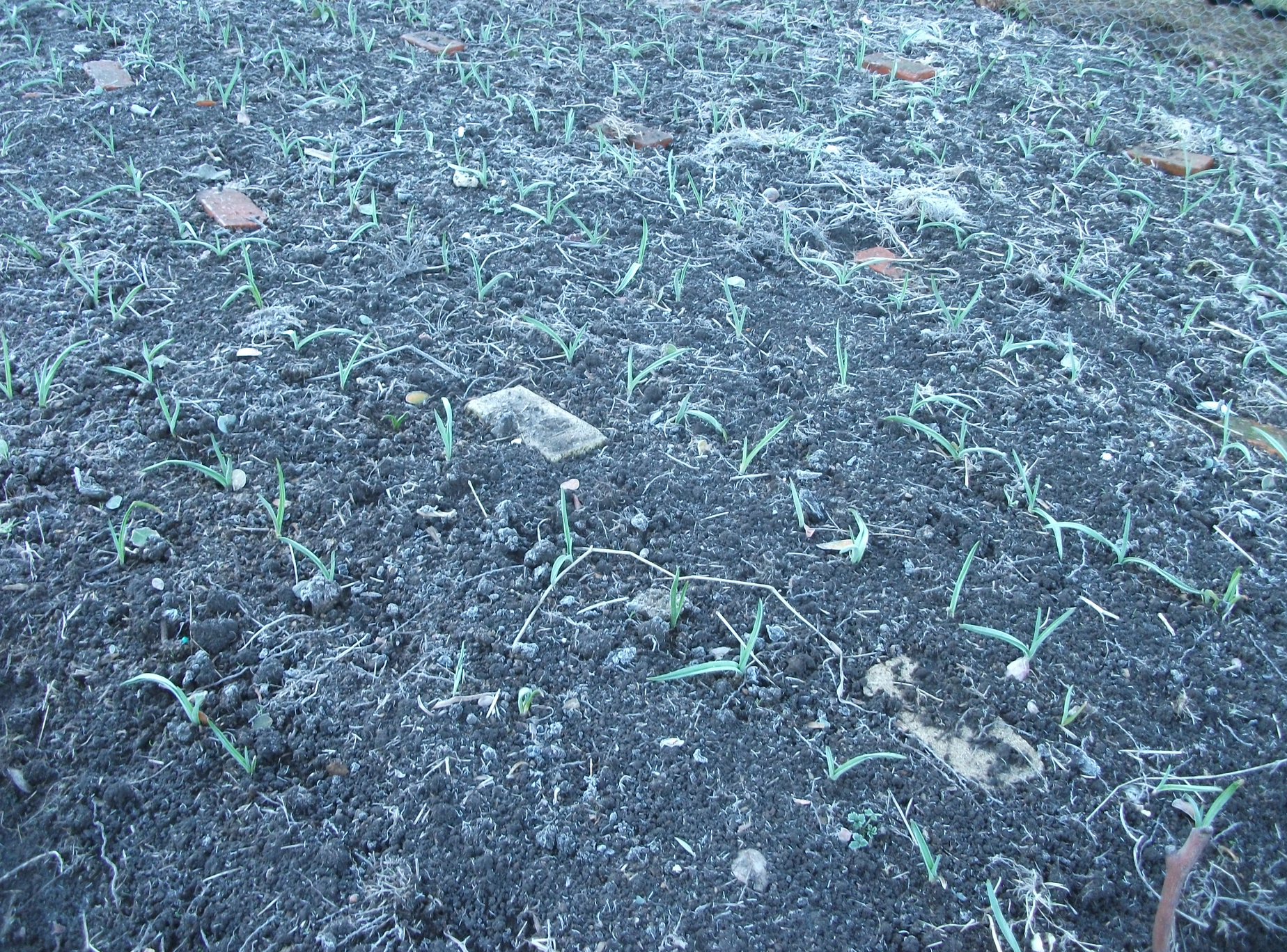 screen-shot-2016-12-17-at-7-02-18-am