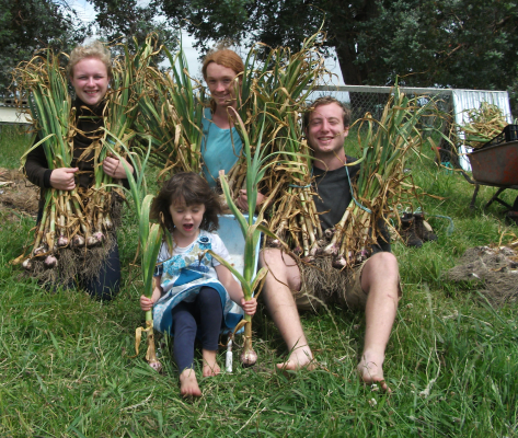 screen-shot-2016-12-22-at-5-27-14-pm