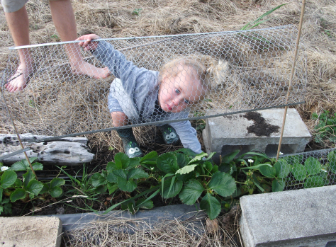 screen-shot-2016-12-22-at-5-29-08-pm