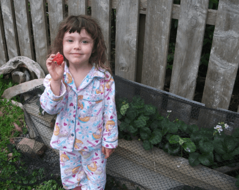 screen-shot-2016-12-22-at-5-31-24-pm