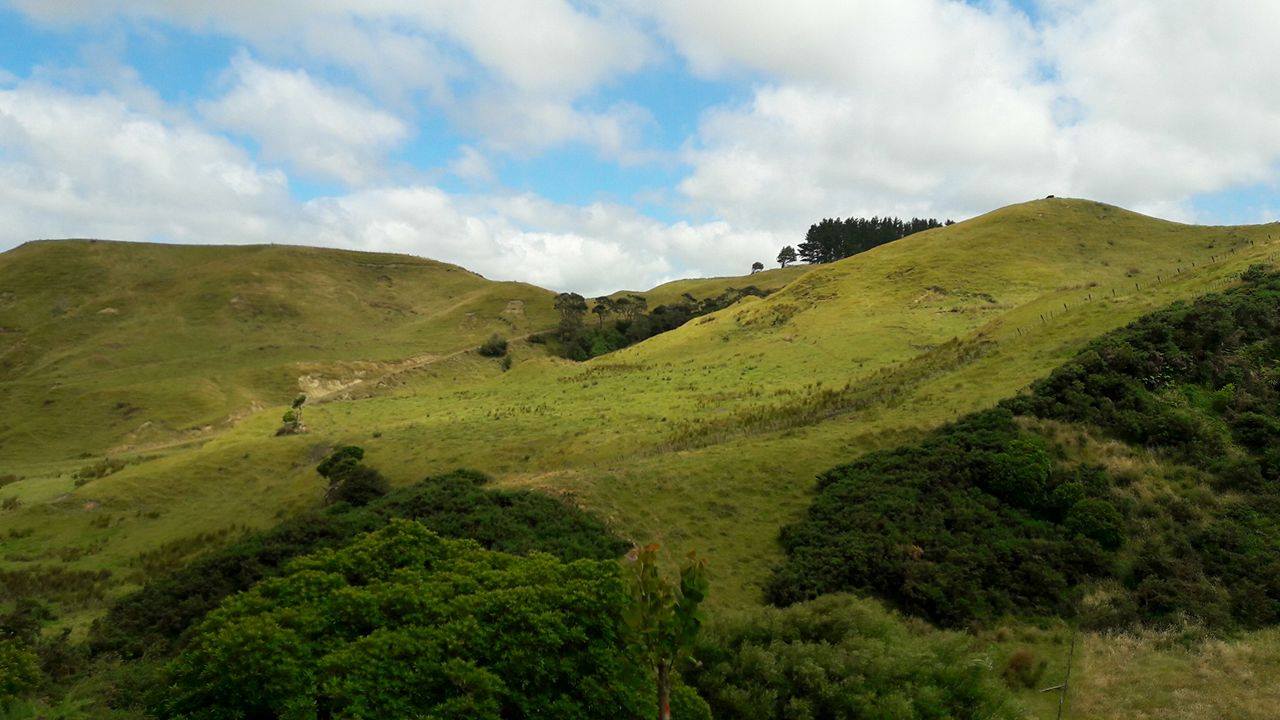 16122348_10211495302365581_2118633362_o