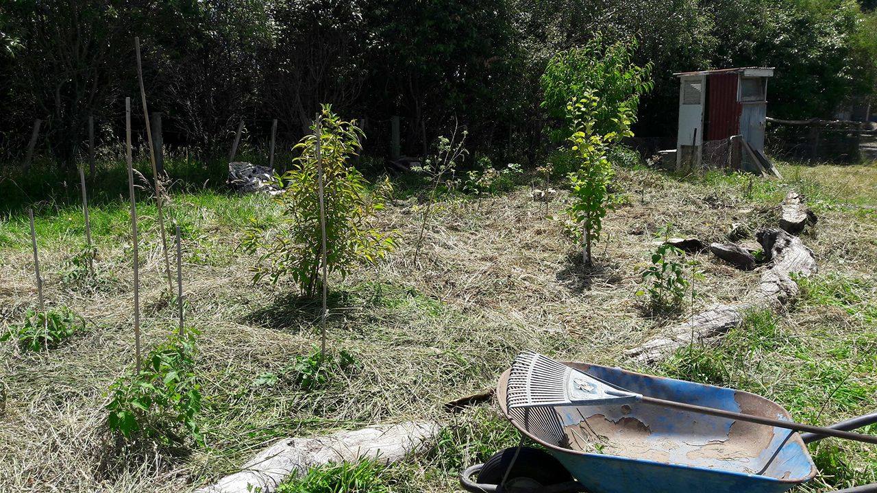 16129468_10211495316645938_556347326_o