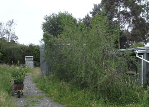 screen-shot-2016-12-27-at-12-30-41-pm