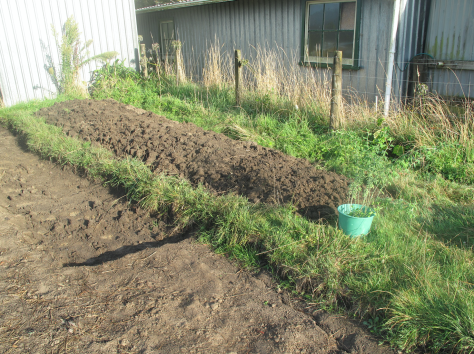 screen-shot-2016-12-27-at-12-32-25-pm