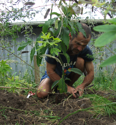 screen-shot-2016-12-27-at-12-36-48-pm