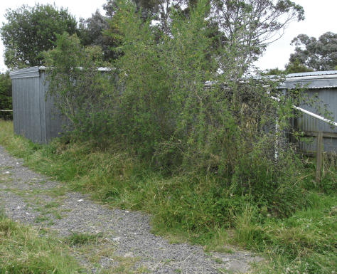 screen-shot-2016-12-27-at-12-39-31-pm