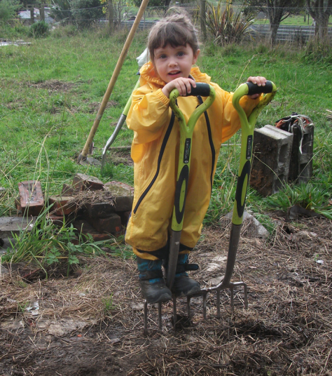 screen-shot-2017-01-02-at-5-48-52-am