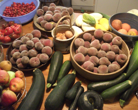 screen-shot-2017-01-02-at-5-50-07-am