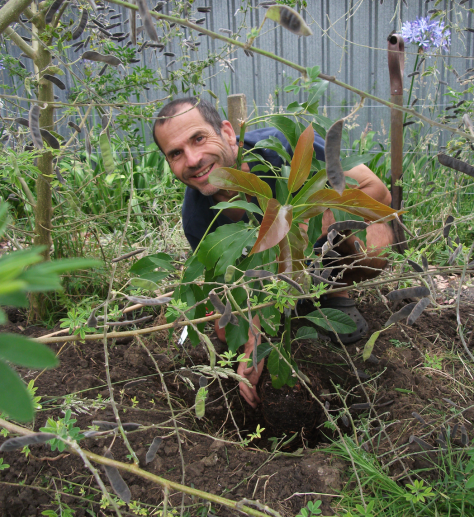 screen-shot-2017-01-02-at-6-28-39-am