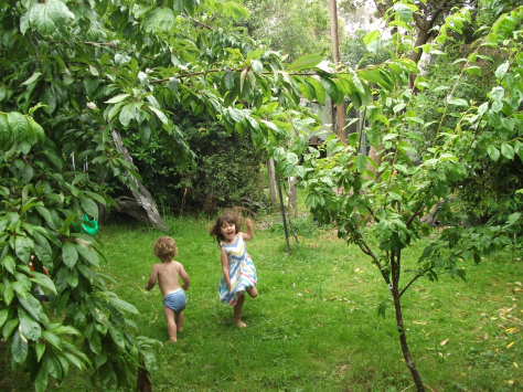 screen-shot-2017-01-04-at-6-53-04-am