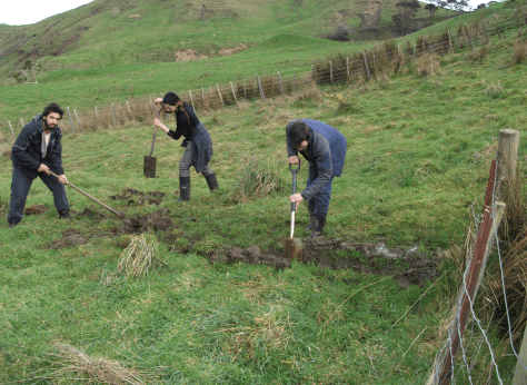 screen-shot-2017-01-17-at-1-34-21-pm