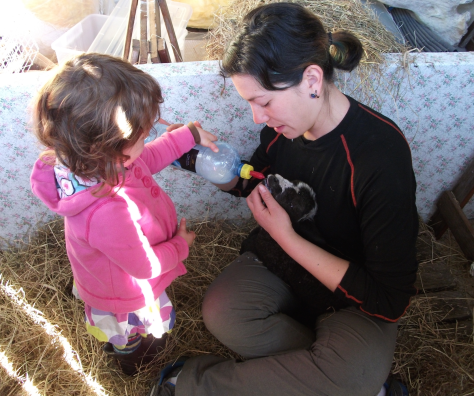 screen-shot-2017-01-17-at-1-34-54-pm