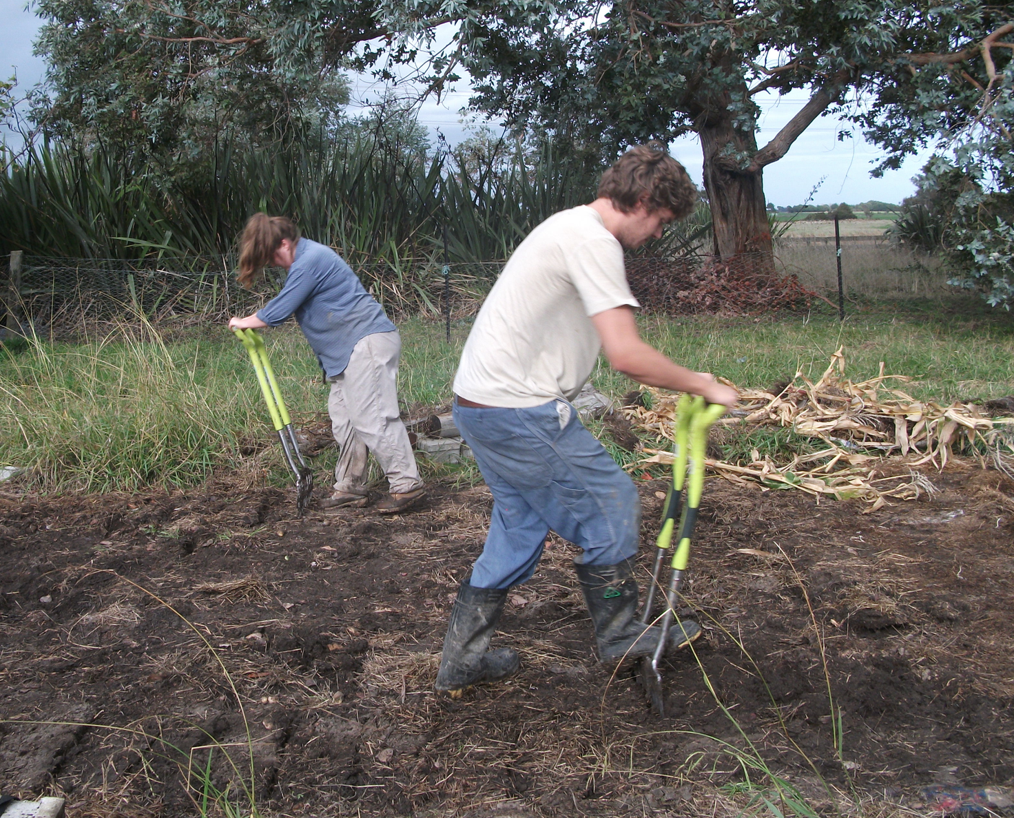 screen-shot-2017-01-17-at-1-39-40-pm