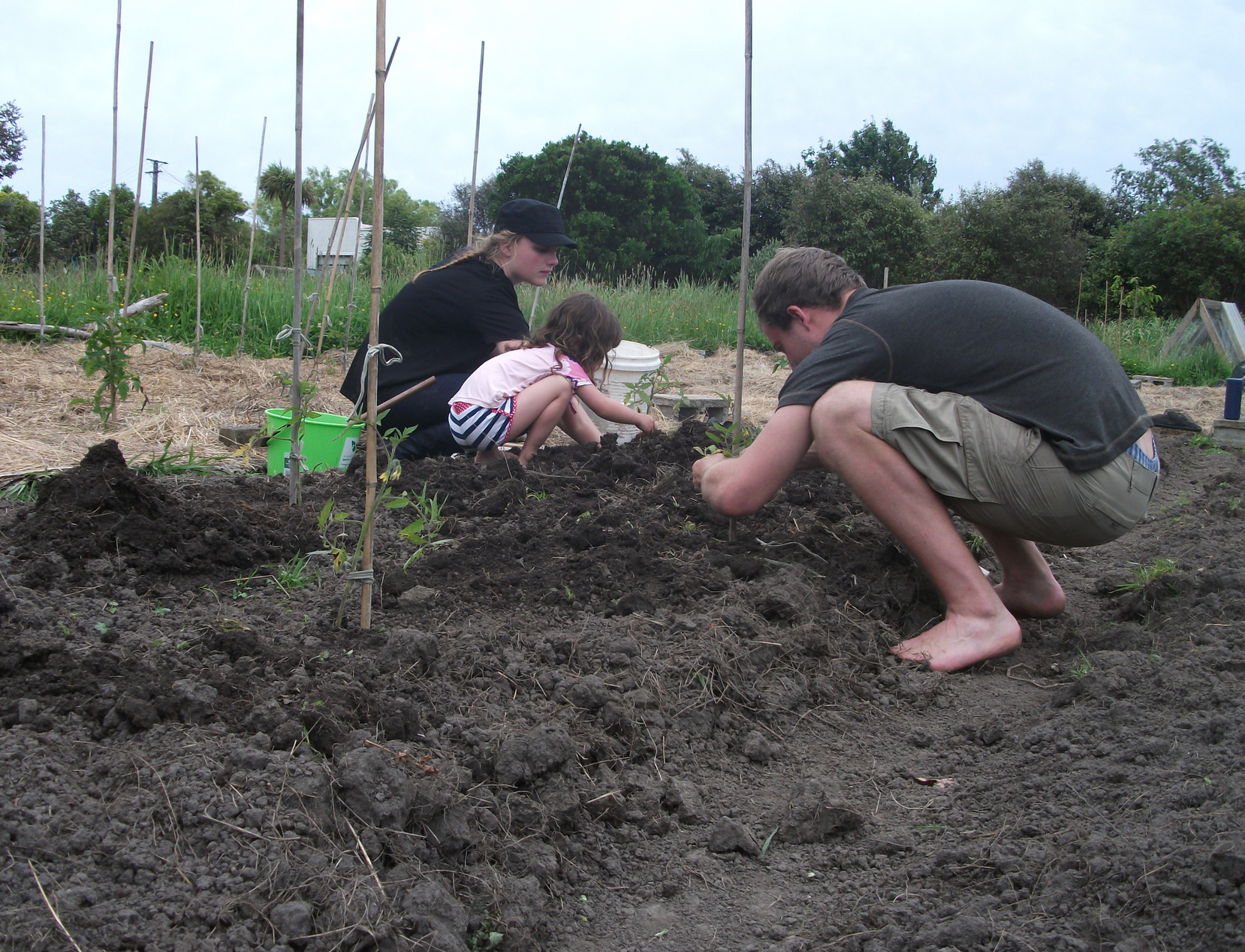 screen-shot-2017-01-17-at-1-40-47-pm