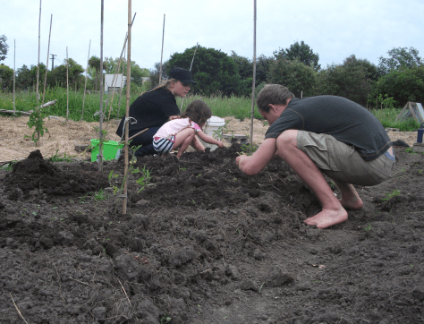 screen-shot-2017-01-17-at-1-40-47-pm