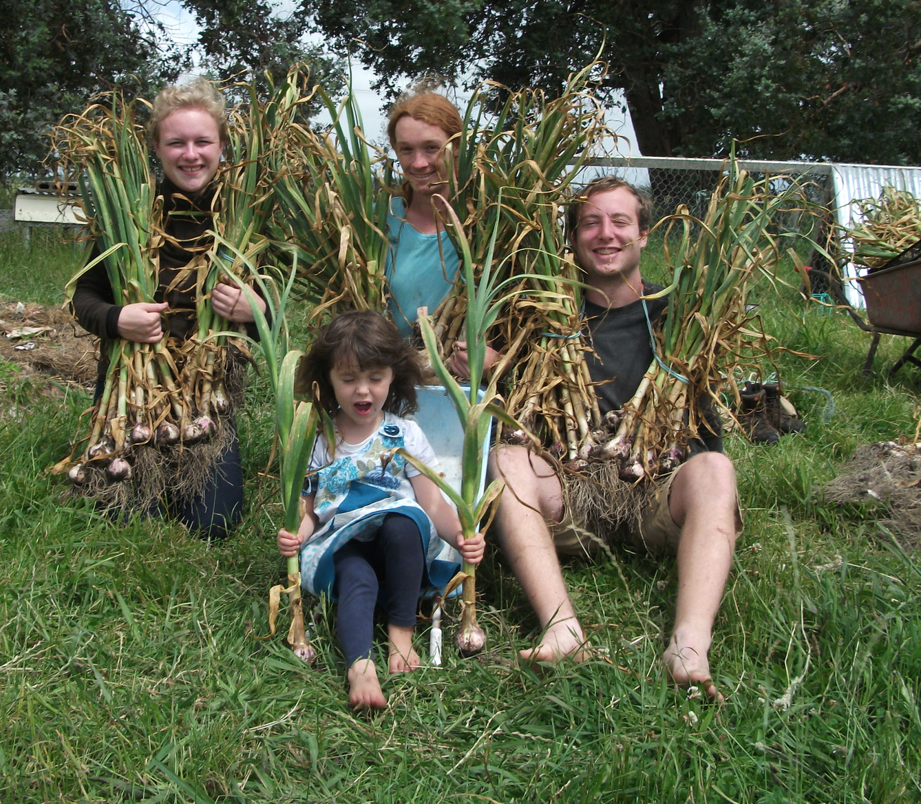 screen-shot-2017-01-17-at-1-41-24-pm