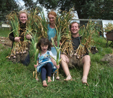 screen-shot-2017-01-17-at-1-41-24-pm