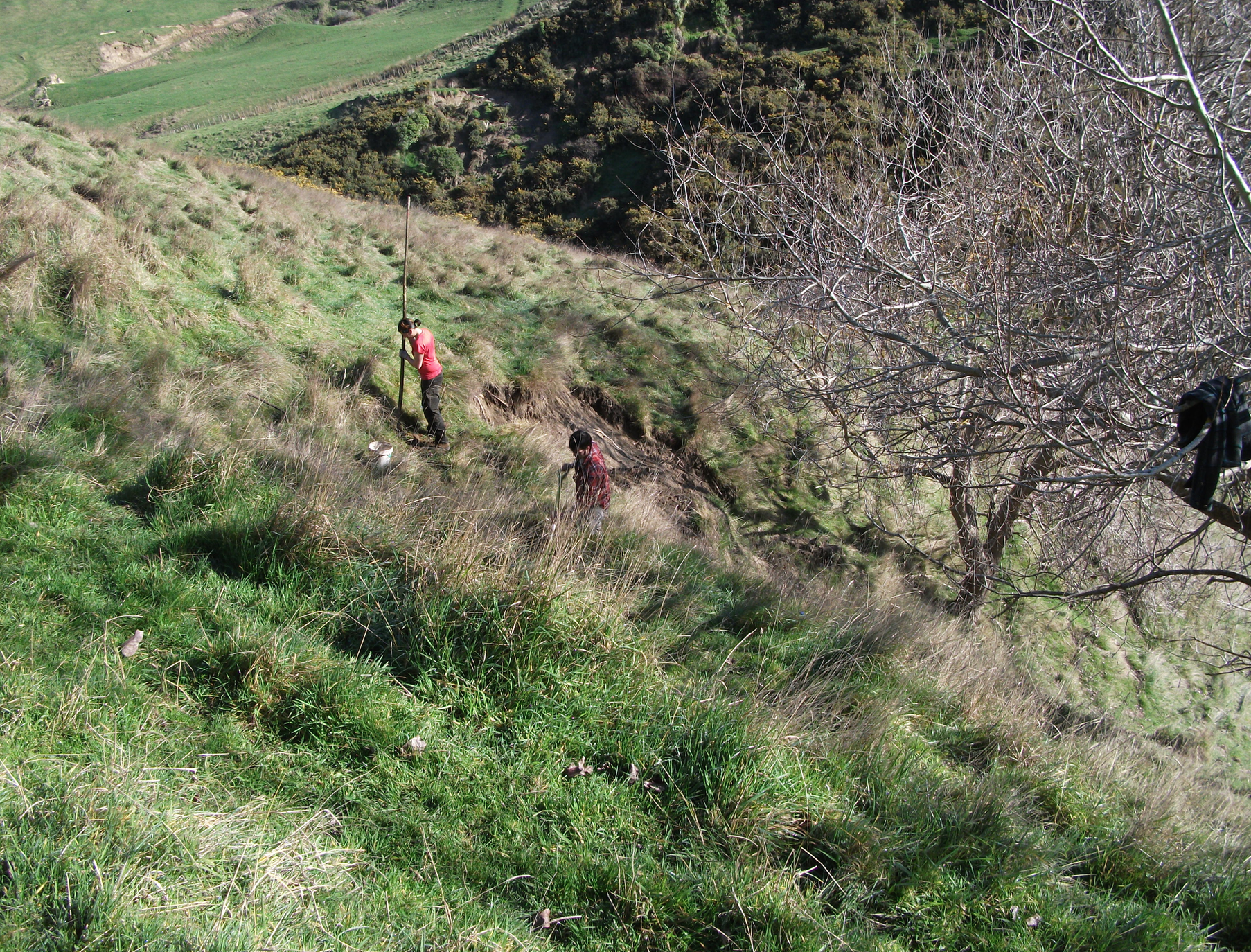 screen-shot-2017-01-17-at-1-57-35-pm