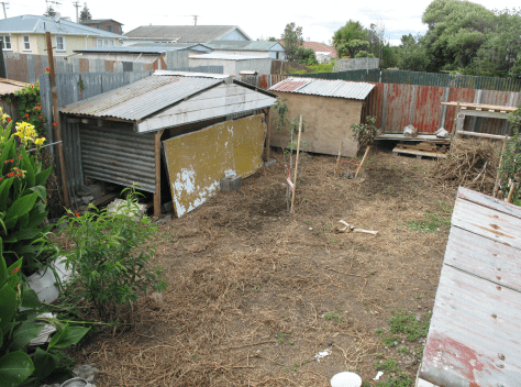 screen-shot-2017-01-21-at-8-29-23-pm