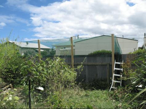 screen-shot-2017-01-23-at-7-24-29-am