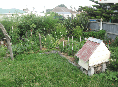 screen-shot-2017-01-23-at-7-25-57-am