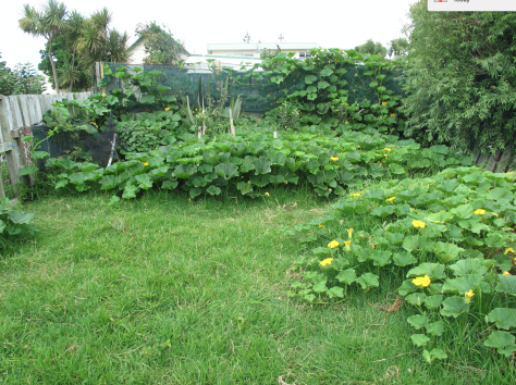 screen-shot-2017-01-23-at-7-26-30-am