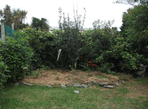 screen-shot-2017-01-23-at-8-18-13-am