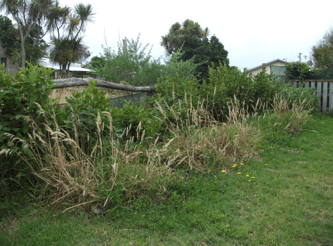 screen-shot-2017-01-23-at-8-33-29-am