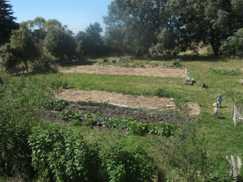 screen-shot-2017-01-29-at-11-28-28-am