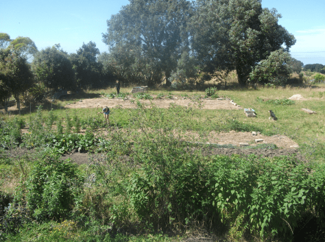 screen-shot-2017-01-29-at-11-30-45-am