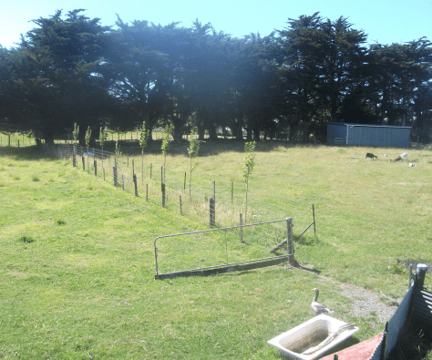 screen-shot-2017-01-29-at-11-32-39-am