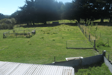 screen-shot-2017-01-29-at-11-34-05-am