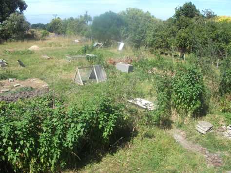 screen-shot-2017-01-29-at-11-34-51-am