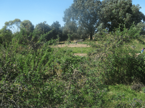 screen-shot-2017-01-29-at-11-36-48-am